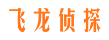 江南侦探公司